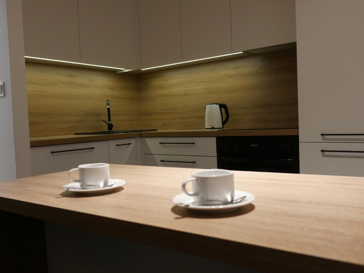 Auschwitz New Flat For Rent Air Conditioning In The Apartament Oswiecim Nowe Mieszkanie - Centrum Klimatyzacja W Mieszkaniu Apartment Ngoại thất bức ảnh