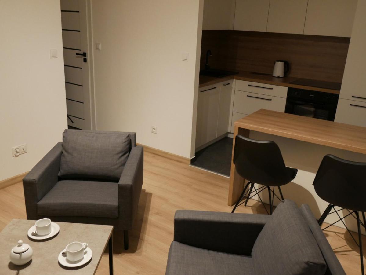 Auschwitz New Flat For Rent Air Conditioning In The Apartament Oswiecim Nowe Mieszkanie - Centrum Klimatyzacja W Mieszkaniu Apartment Ngoại thất bức ảnh