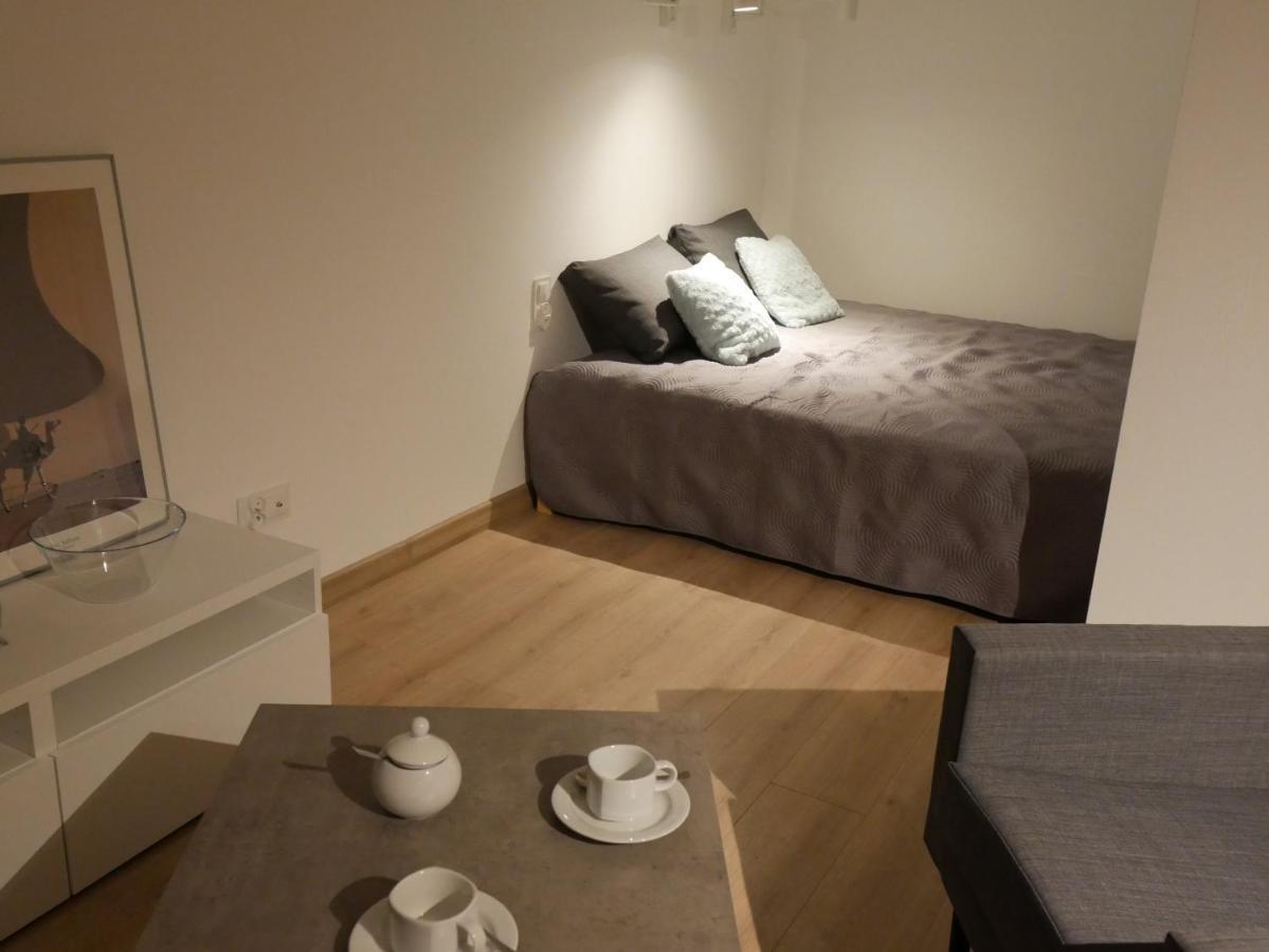Auschwitz New Flat For Rent Air Conditioning In The Apartament Oswiecim Nowe Mieszkanie - Centrum Klimatyzacja W Mieszkaniu Apartment Ngoại thất bức ảnh